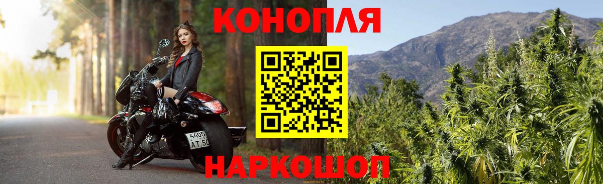 Бошки марихуана конопля Стрежевой